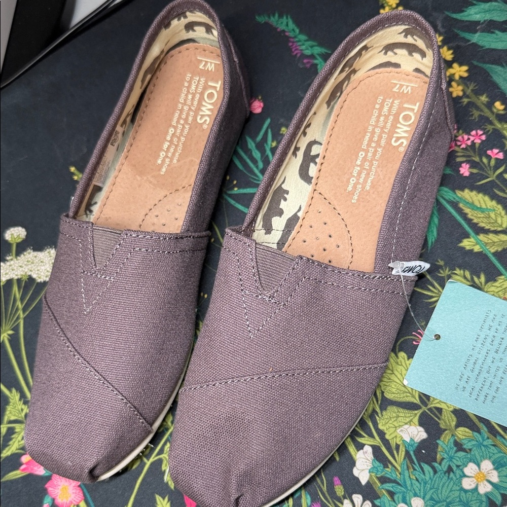 TOMS Ash Canvas Slip-Ons